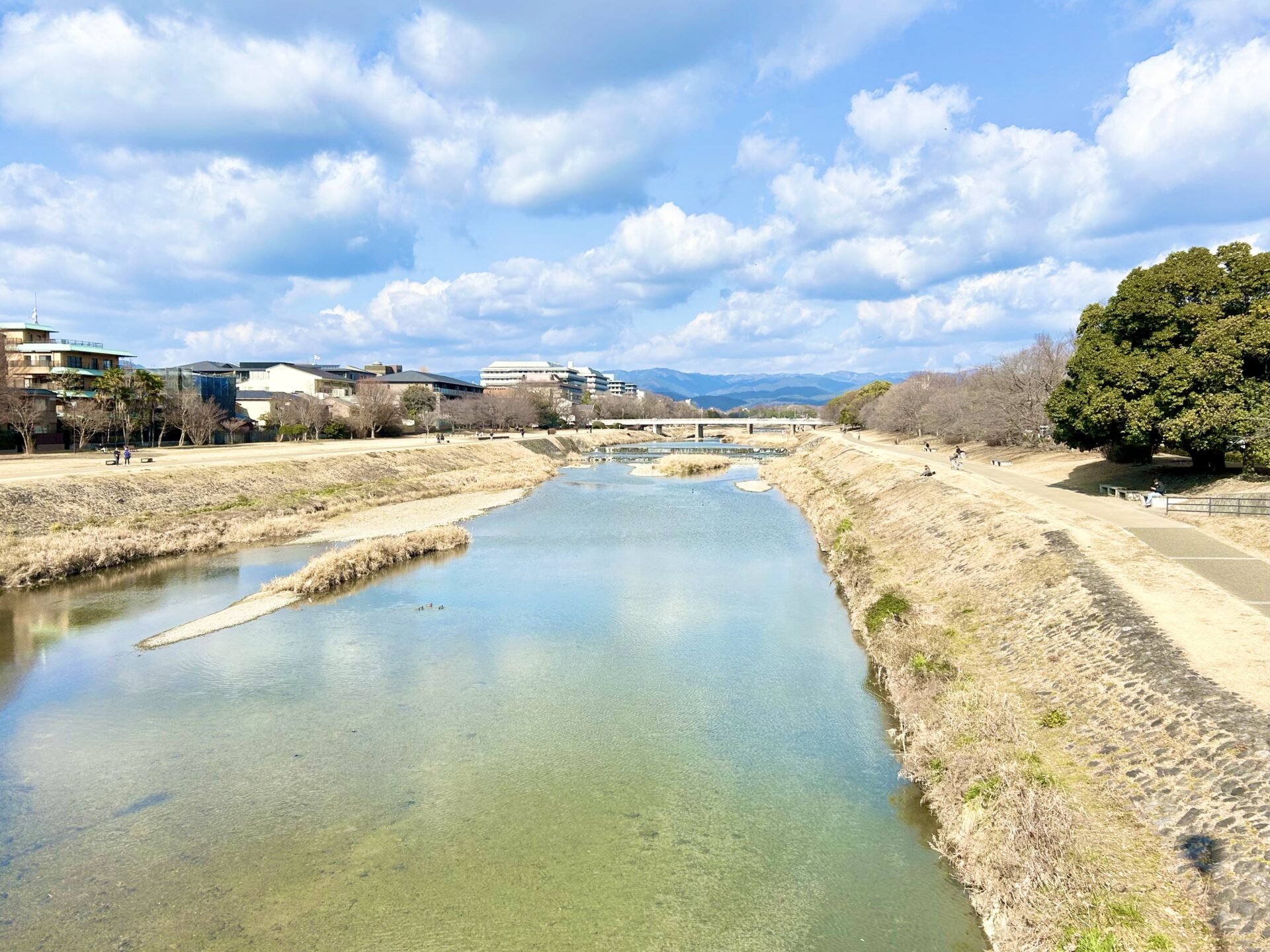 鴨川散歩道