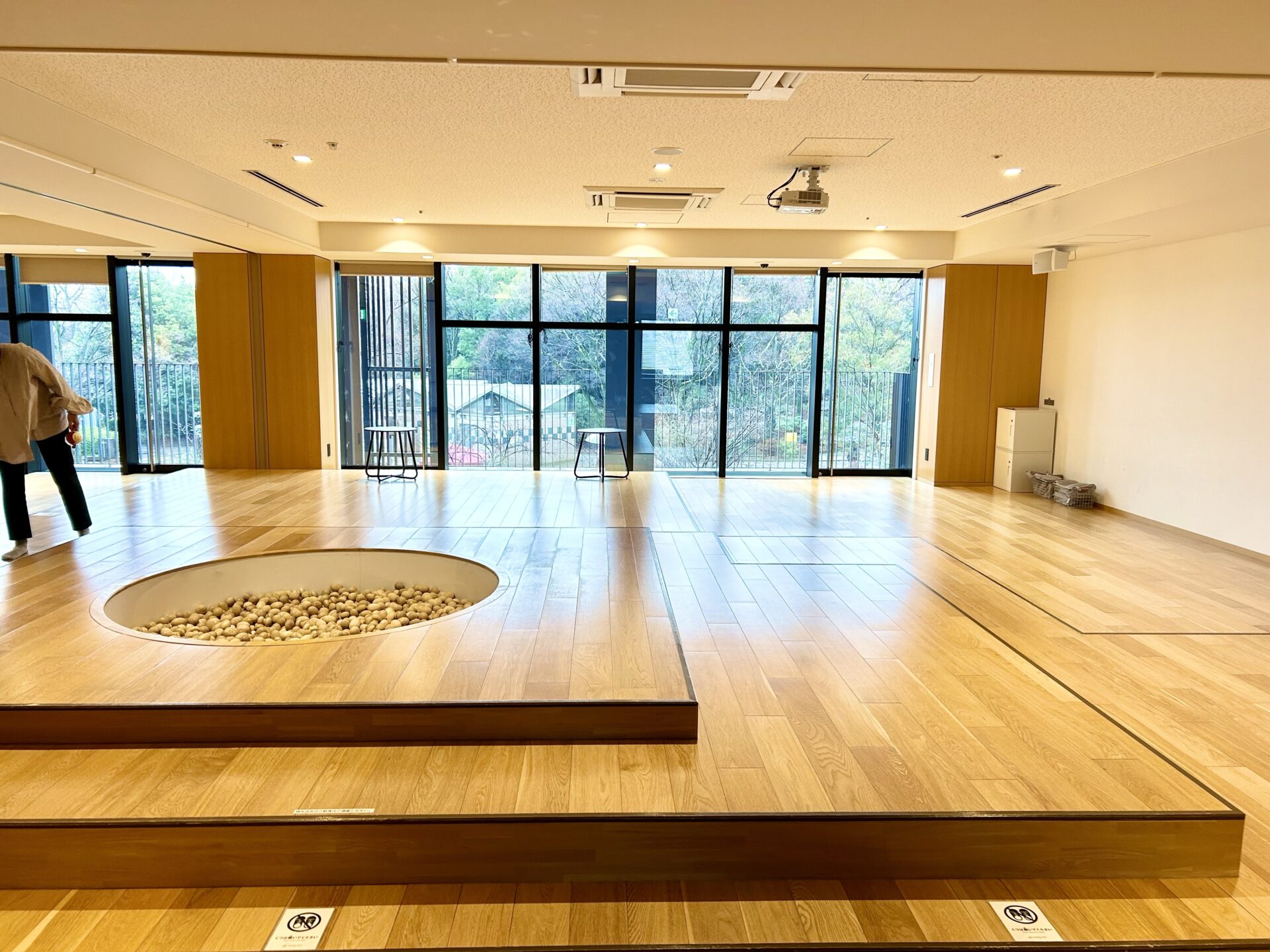 梅小路ポテル京都のボールプール