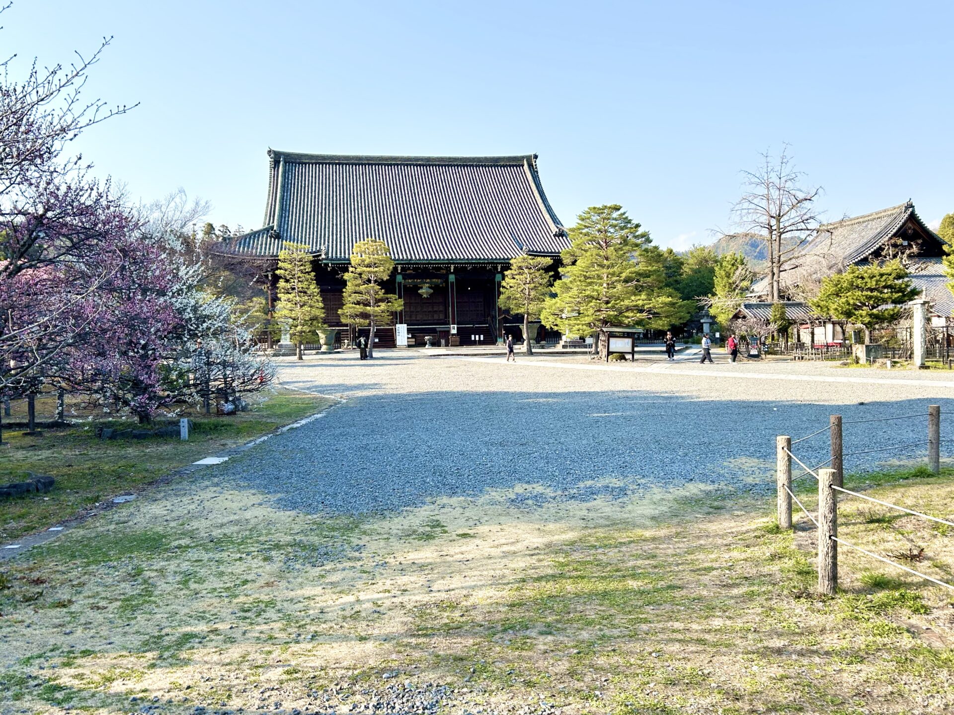 清涼寺の外観