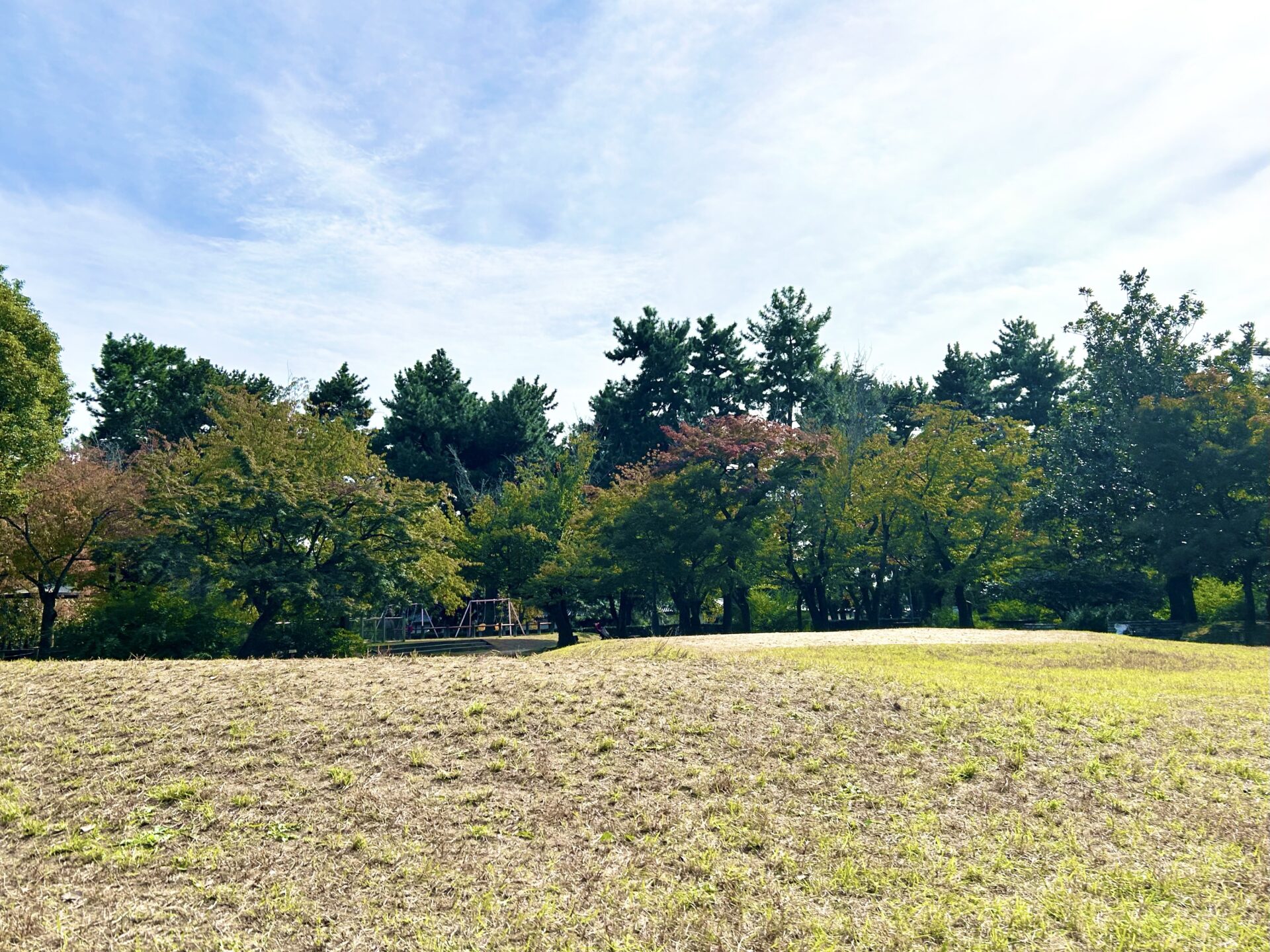 京都御苑　芝生広場